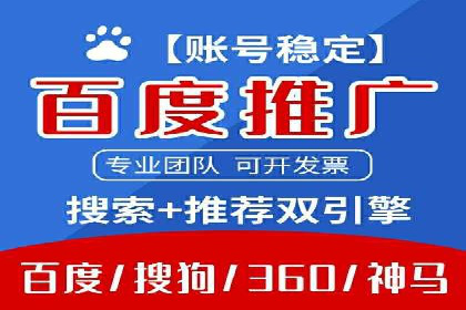 行业领先企业的网络推广与竞价经验